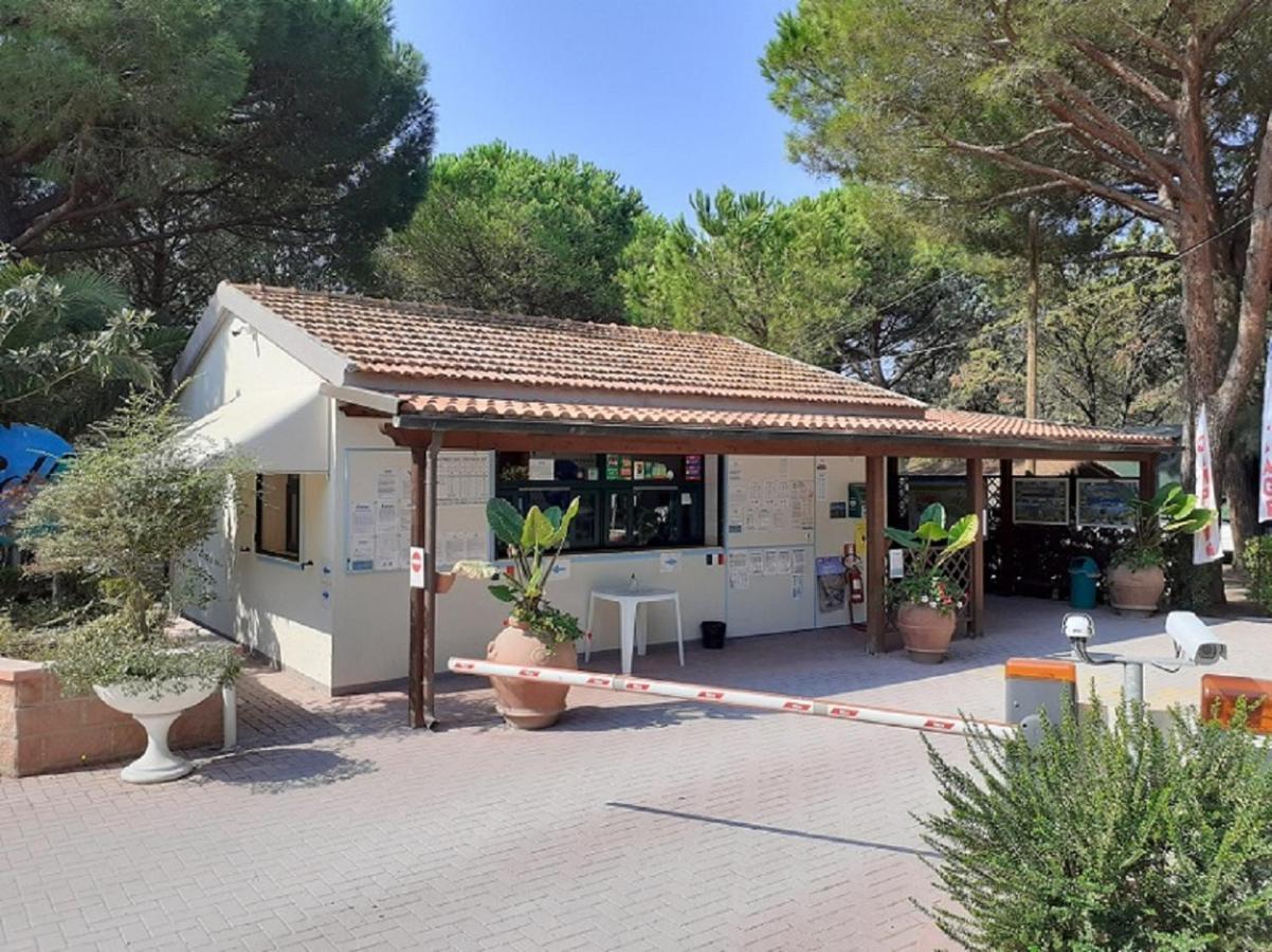 Appartamenti Campeggio Del Forte Marina Di Bibbona Exterior foto